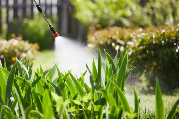 24/7 Emergency Cockroach Control experts in Cleveland, OK