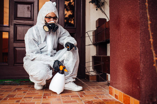 Reliable Cockroach Control contractor in Cleveland, OK by Nex Pest Control